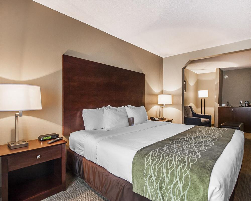 Comfort Inn US Hwy 80 Demopolis Zewnętrze zdjęcie
