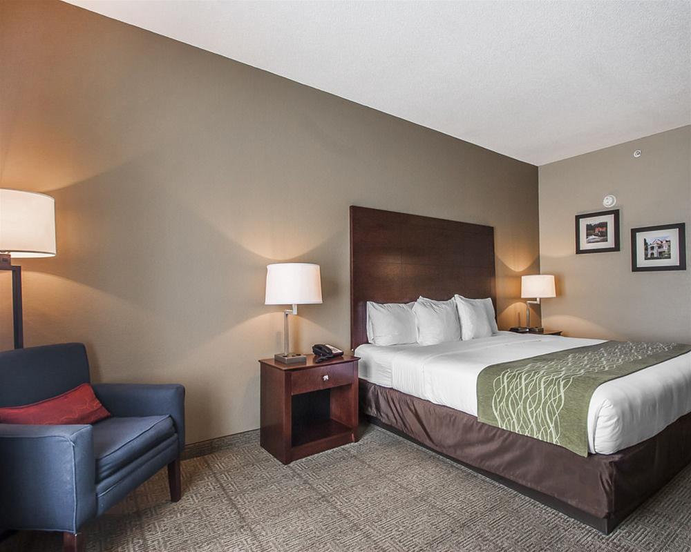 Comfort Inn US Hwy 80 Demopolis Zewnętrze zdjęcie